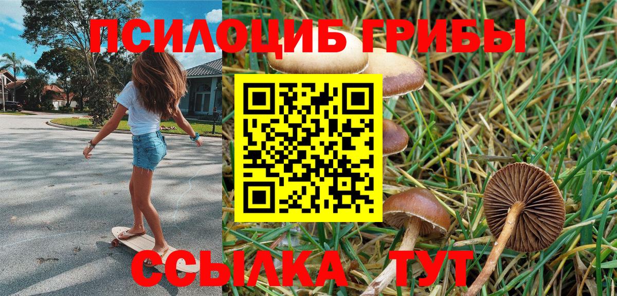 Черногорск  Псилоцибиновые грибы ЛСД  Вход с VPN 